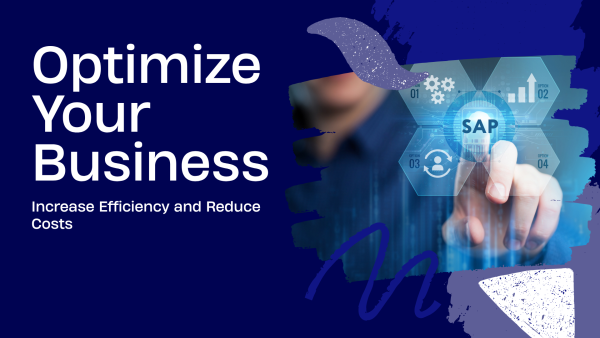 1 Optimize Business