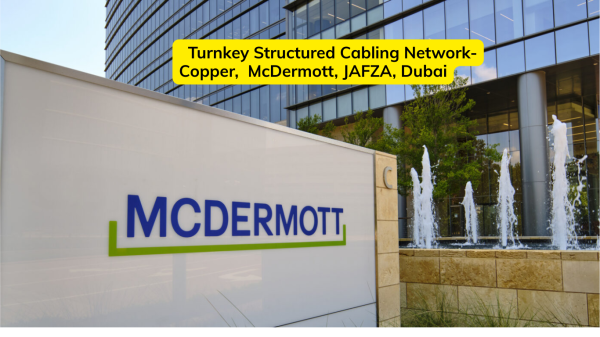 11 Mcdermott